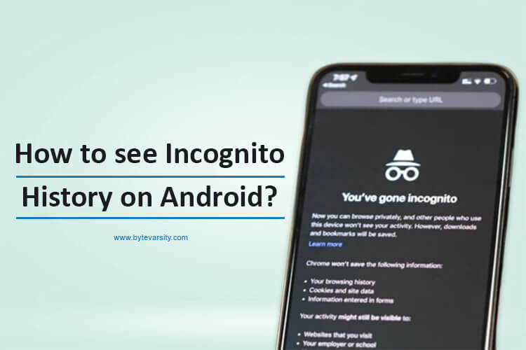 How to see Incognito History on Android