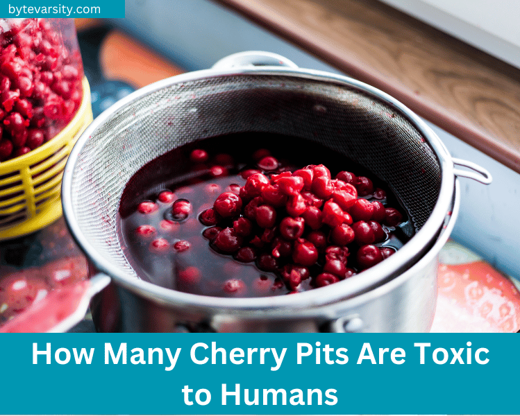 How Many Cherry Pits Are Toxic to Humans
