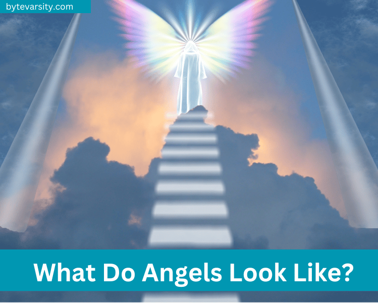 What Do Angels Look Like