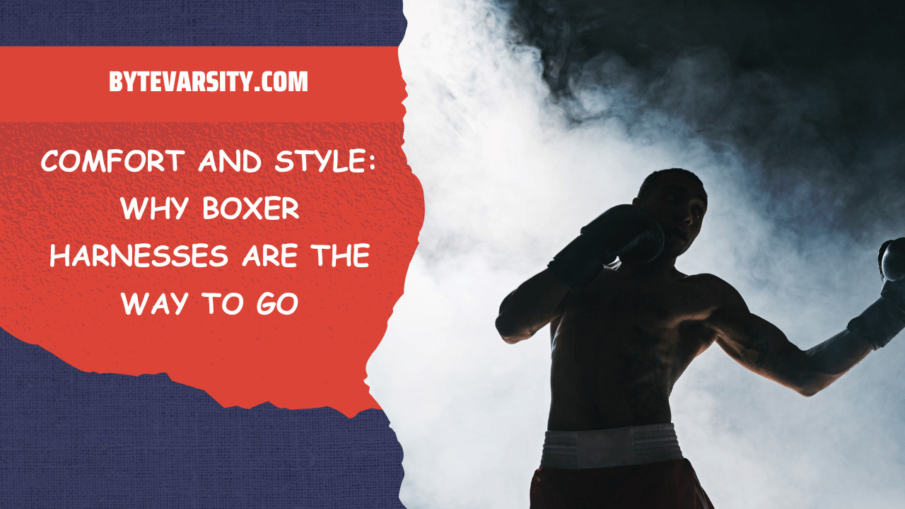 Comfort And Style Why Boxer Harnesses Are The Way To Go