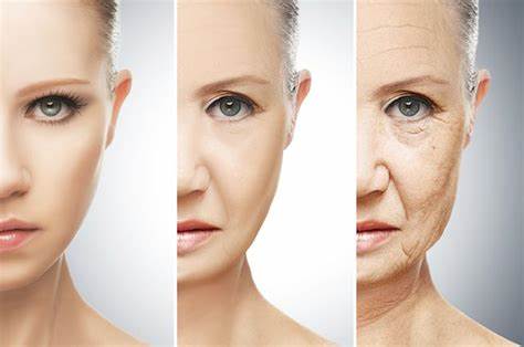 Ageing Process