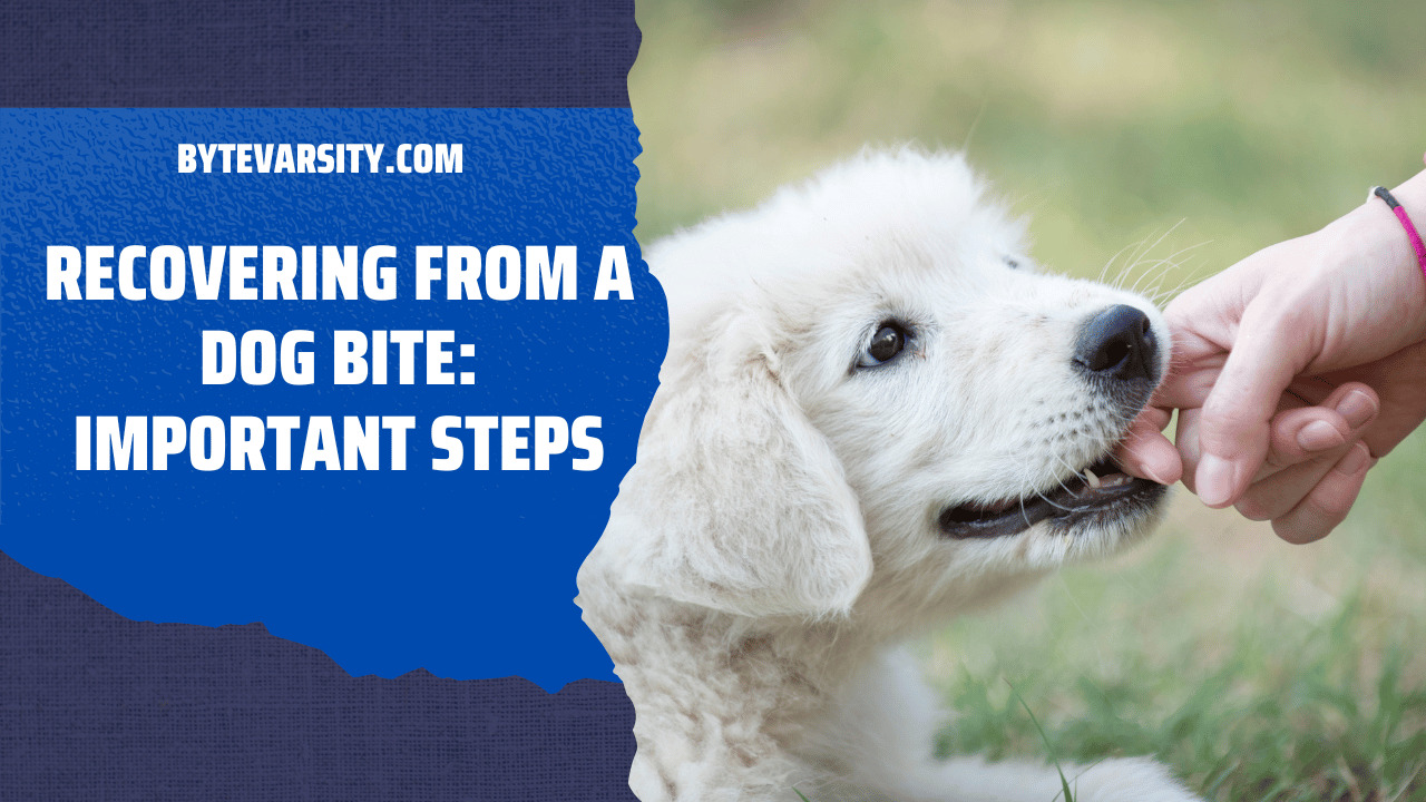 Recovering from a Dog Bite: Important Steps