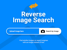Why You and Your Business Should Use Reverse Image Search?