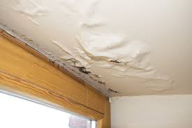 What Are The Common Causes Of Water Damage In Homes?