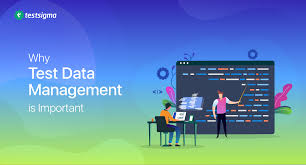 Know The Importance of Test Data Management