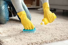 Carpet Cleaning Dos and Don’ts: Avoiding Common Mistakes