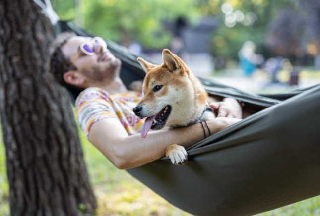 Embrace Pure Comfort: Lounge in Luxury with the Most Comfortable Hammock 2 Comfortable Hammock