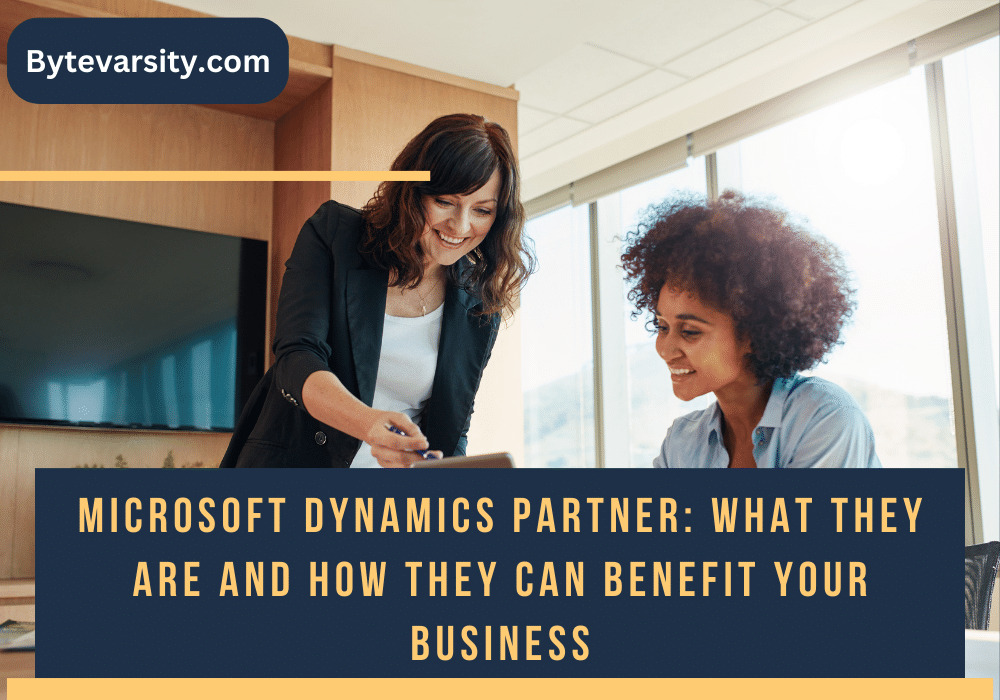Microsoft Dynamics Partner