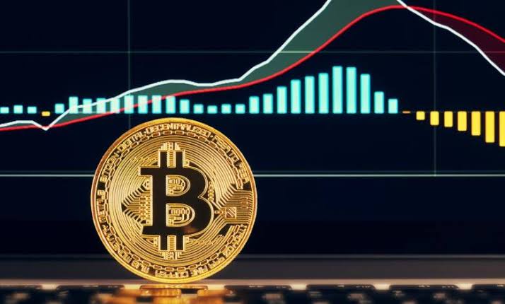 The ROI Factor: How IvoryHash Maximizes Returns on Bitcoin Mining Investments