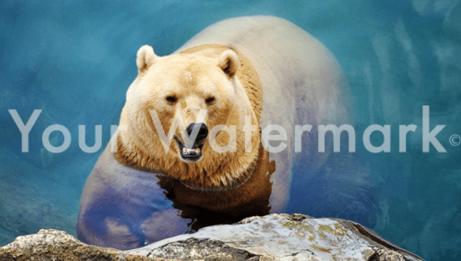 How to Create Seamless Stock Images by Removing Watermarks and Text?