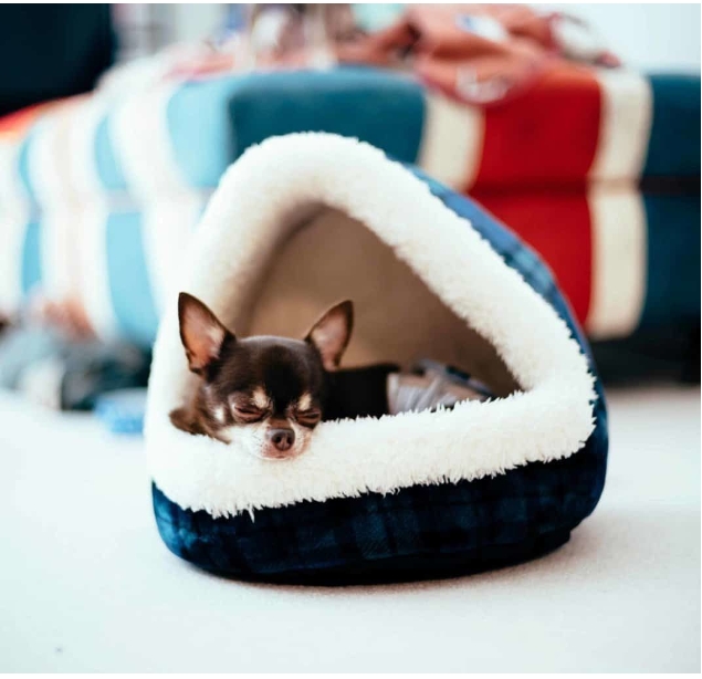 Safe and Comfortable Place for Your Pet