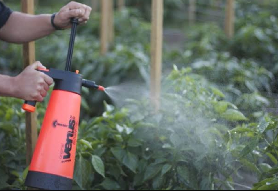 Experience Thriving Gardens with SoilGrow: Harness the Power of Organic Liquid Fertilizer