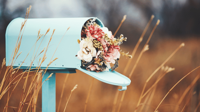 Sending Sympathy Flowers