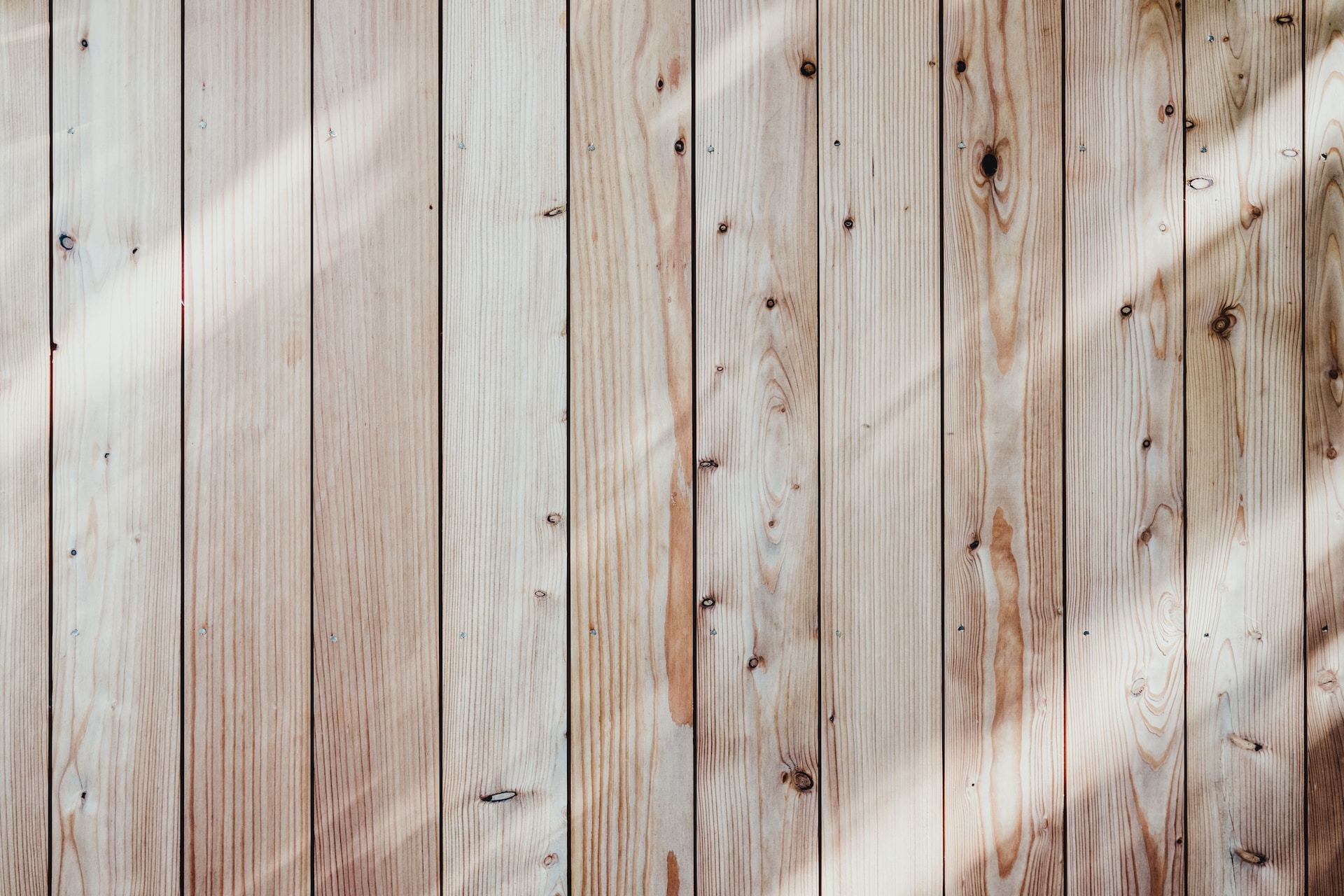 How to Get Rid of Wood Eating Pests: A Comprehensive Guide