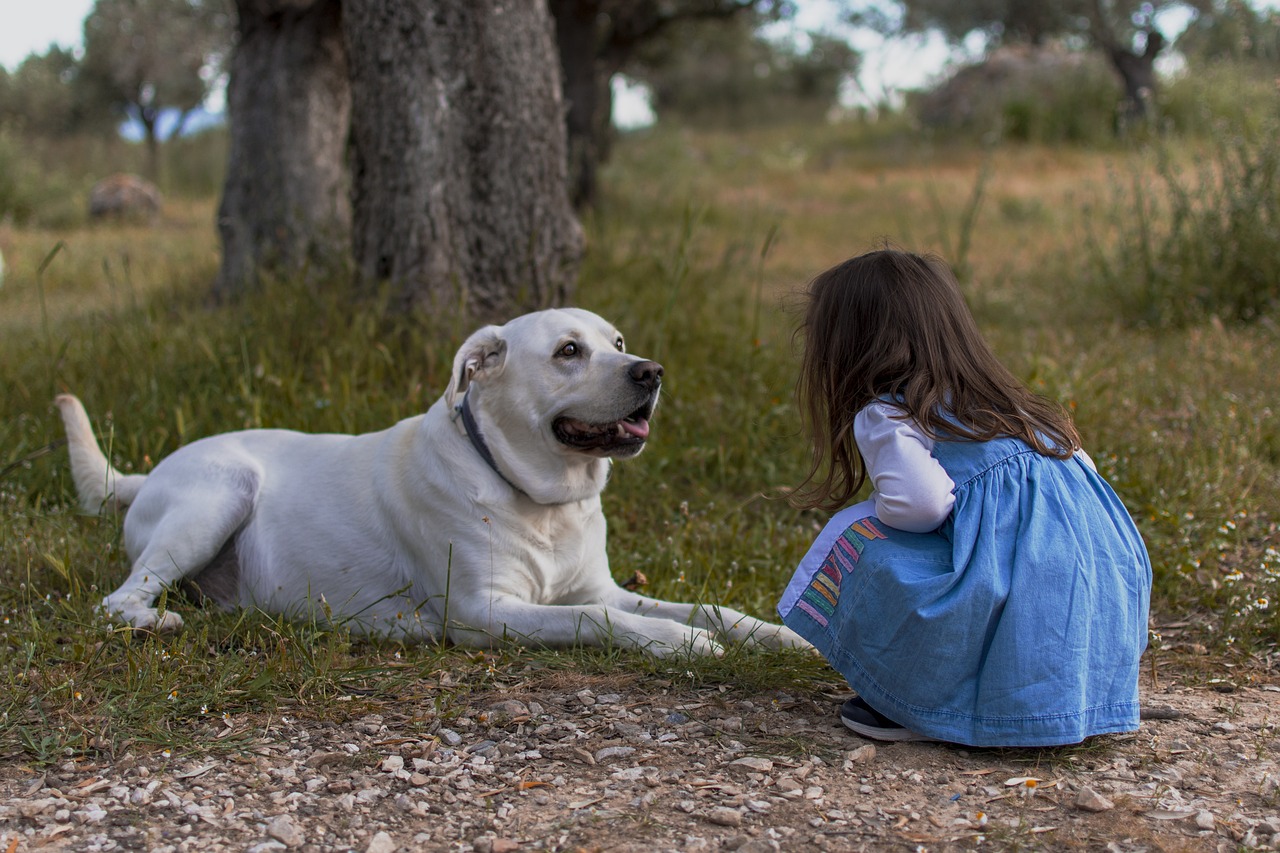 The Role of Dogs in Child Development: Enhancing Social and Emotional Skills