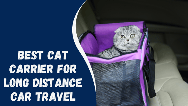 Best Cat Carrier for Long Distance Car Travel