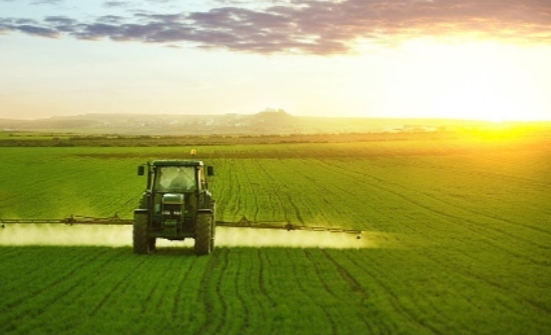 Exploring Efficiency in Traditional and Modern Agriculture