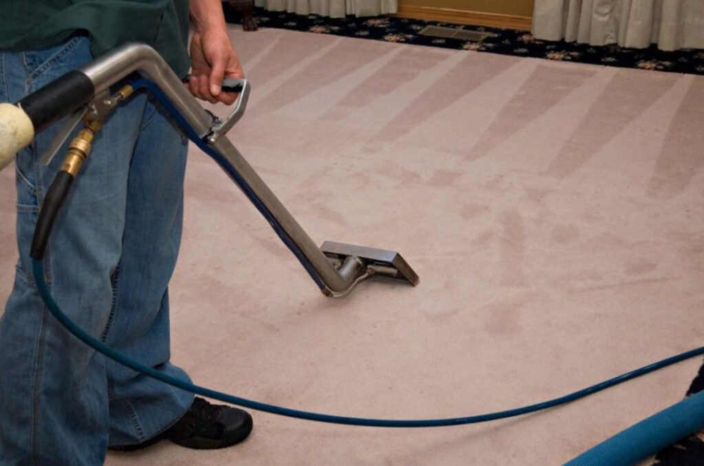 Bio Green Carpet Cleaning in Phoenix: Your Green Solution to a Healthier Home 2 Bio Green Carpet Cleaning in Phoenix