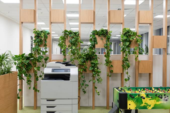 Creating an Office Jungle: Benifits and How-To Guide