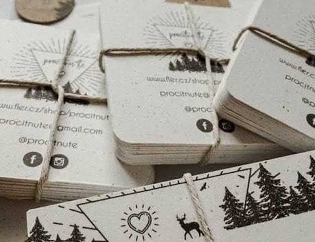 Eco-Friendly Business Cards Paving the Way for Sustainable Business Relationships
