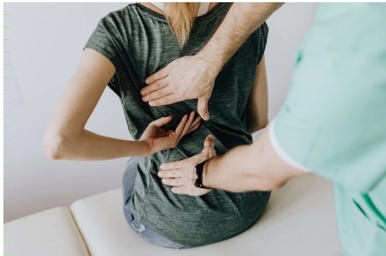 Beyond Ergonomics: The Art and Science of Back Support for a Healthier You 1