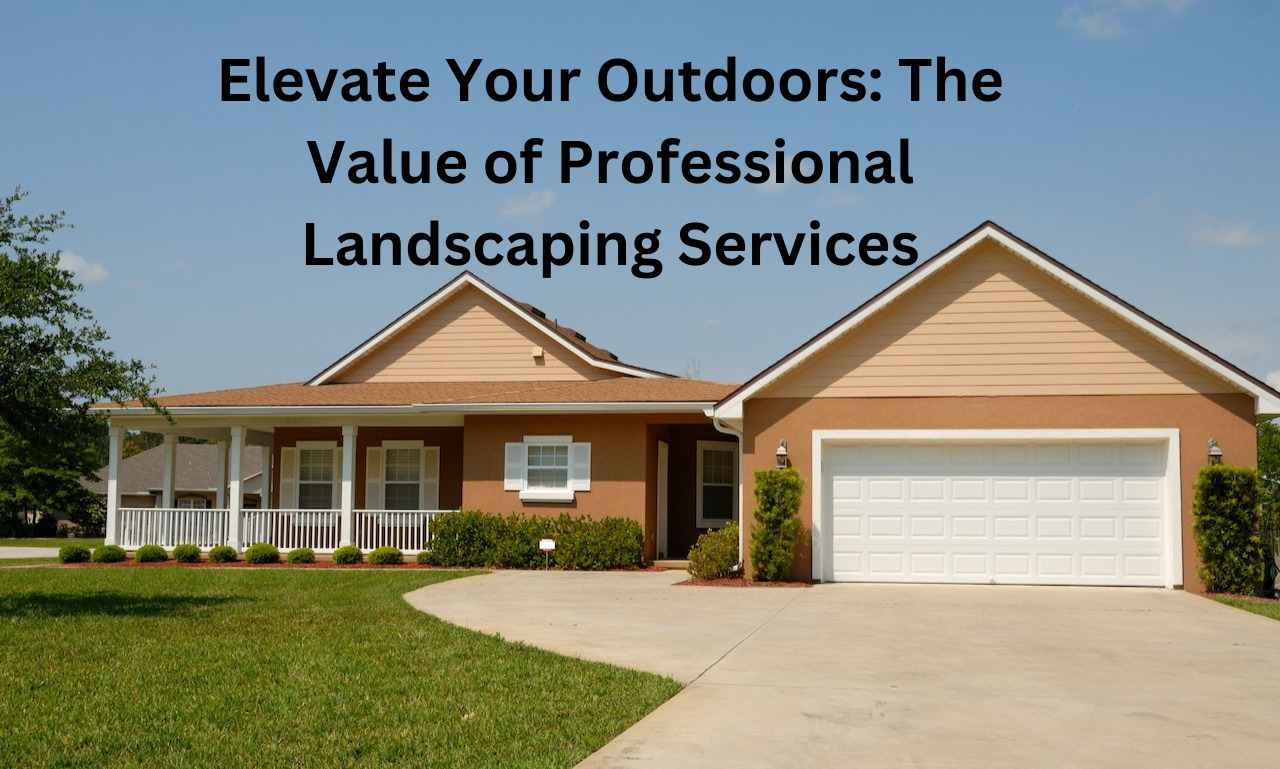 Elevate Your Outdoors: The Value of Professional Landscaping Services