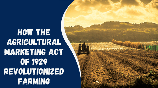 How the Agricultural Marketing Act of 1929 Revolutionized Farming
