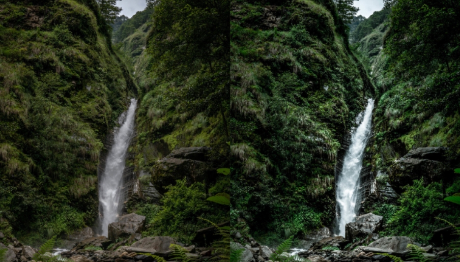 Unleash Your Creativity: Mastering Jungle Presets in Lightroom