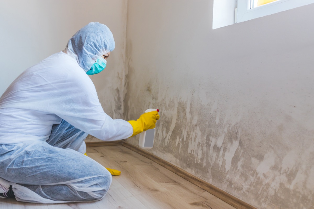 Mold Remediation: How to Remove Mold