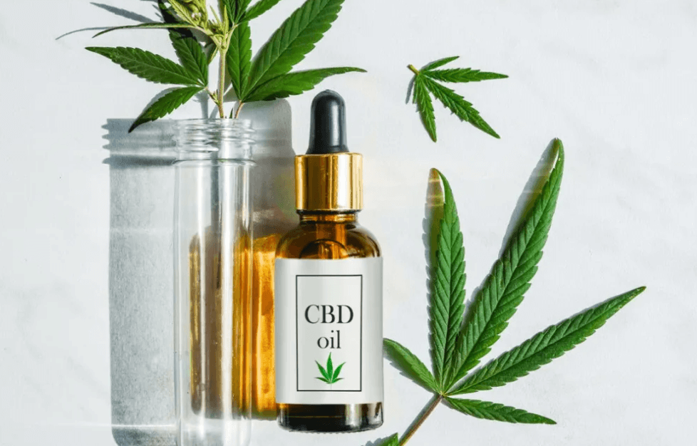 CBD Oil