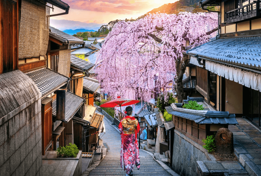 Japan Traveller
