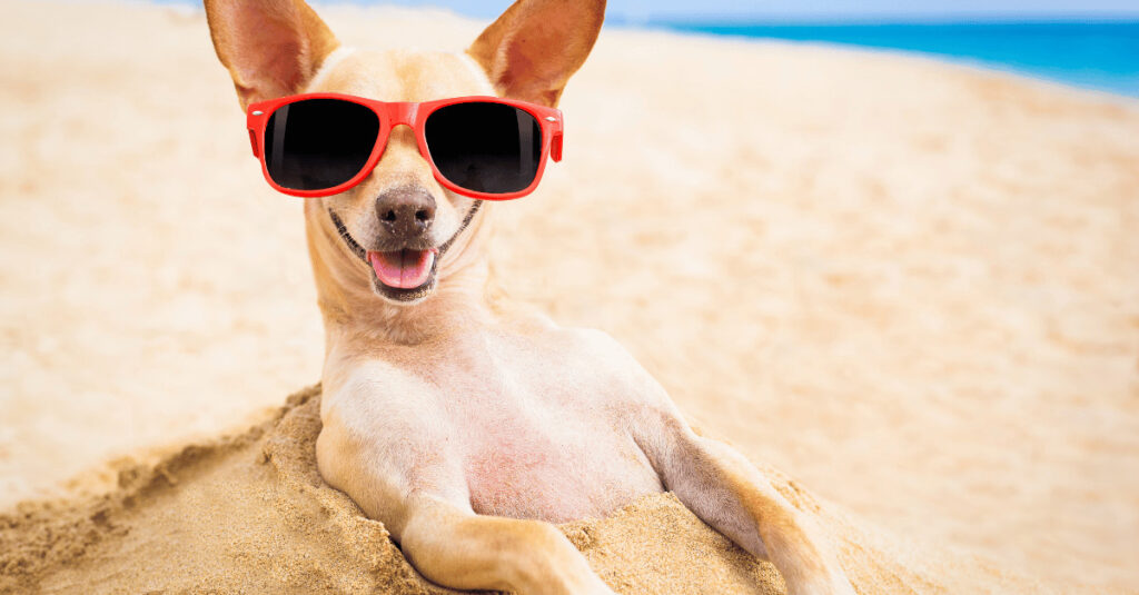 Attitude captions for Instagram: 230+ best