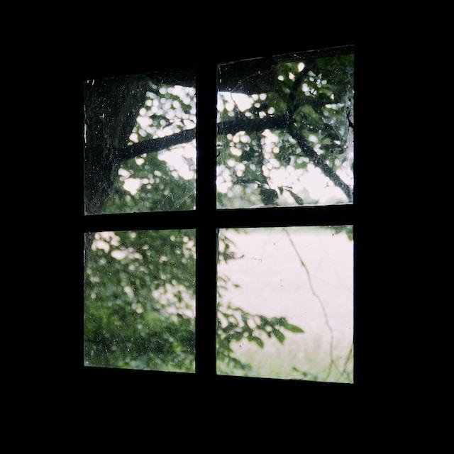 5 Signs Your Windows Are Wearing Out