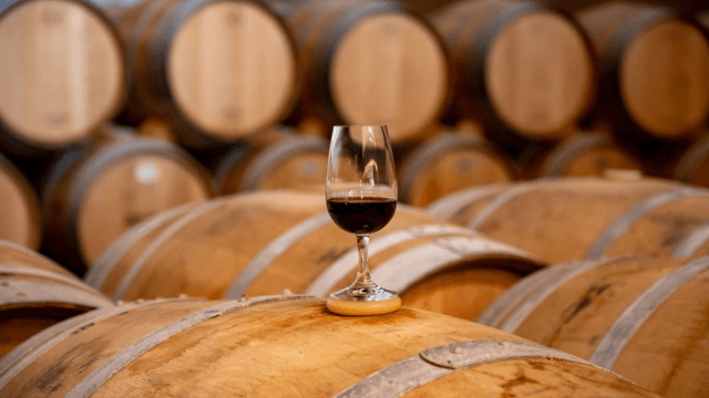 Unlock Your Unique Wine Profile
