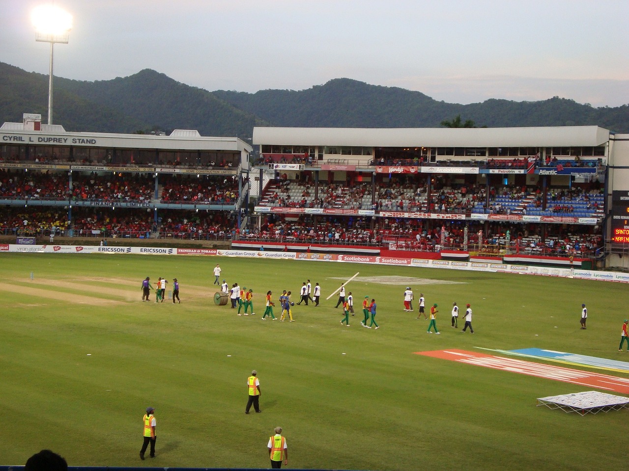T20 Cricket
