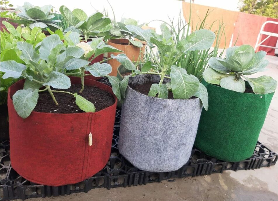 Geo-Fabric Grow Bags