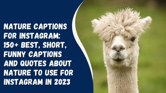Nature Captions for Instagram: 150+ best, short, funny captions and quotes about nature to use for Instagram in 2023