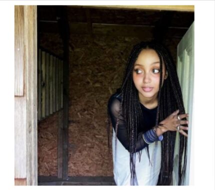 PinkPantheress- Bio, Age, Net Worth, Boyfriend, Ethnicity, Height 2 PinkPantheress- Bio