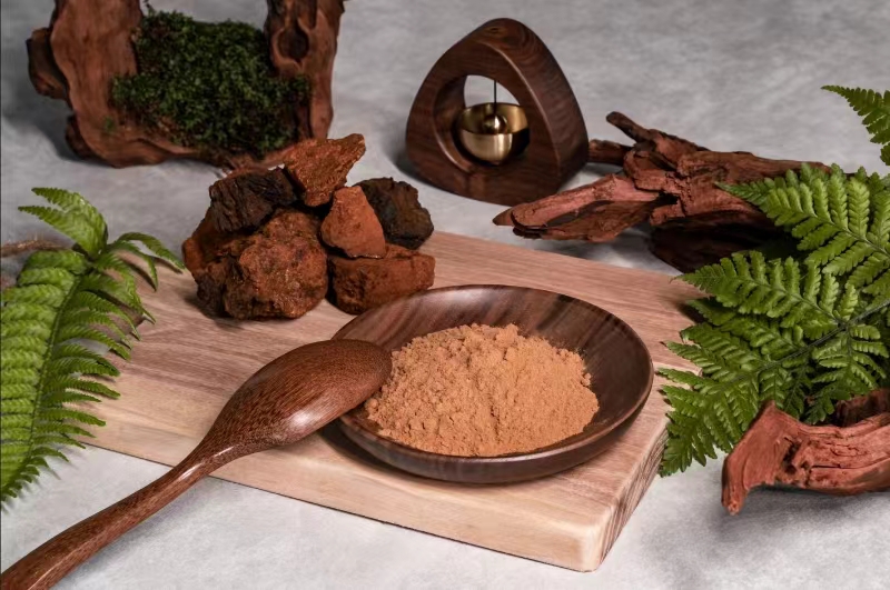 Chaga mushroom extract