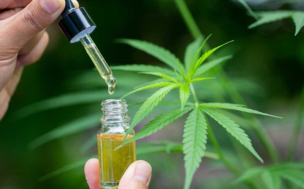 Hemp
