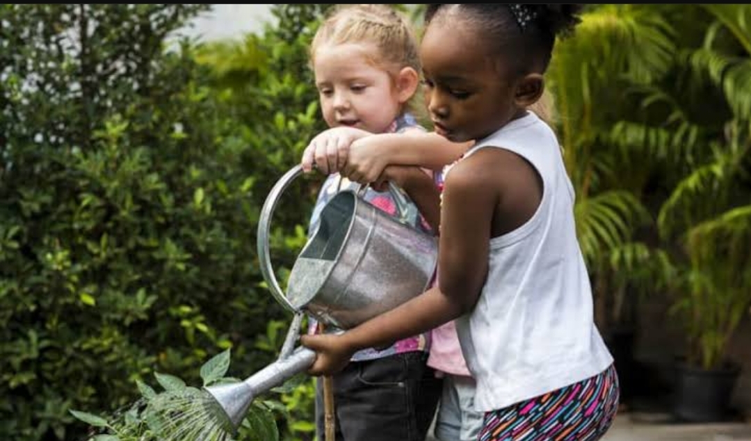 Indoor Activities for Kids in Tampa That Won’t Break the Bank