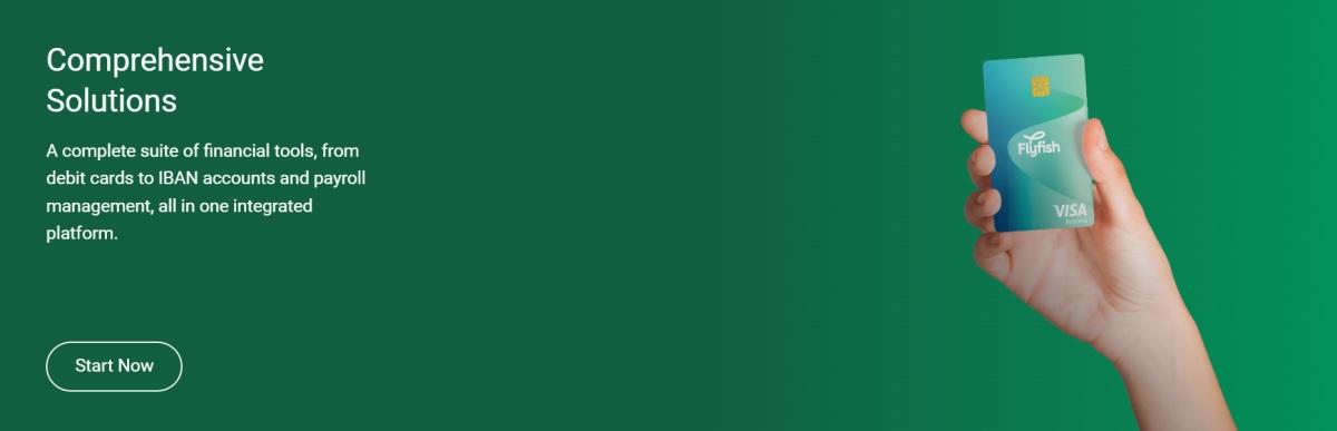 Flyfish Review – Financial Management Service Offering Custom Solutions and Instant Payments