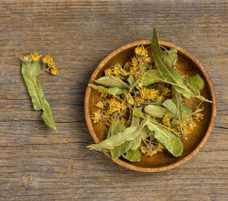 Unlocking the Potential of Fadogia Agrestis: A Traditional Herb with Modern Appeal 1 Fadogia