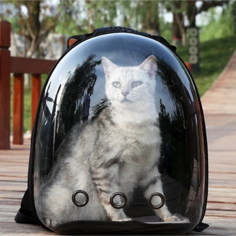 Pet Carrier: Essential Item for Your Pet’s Safety