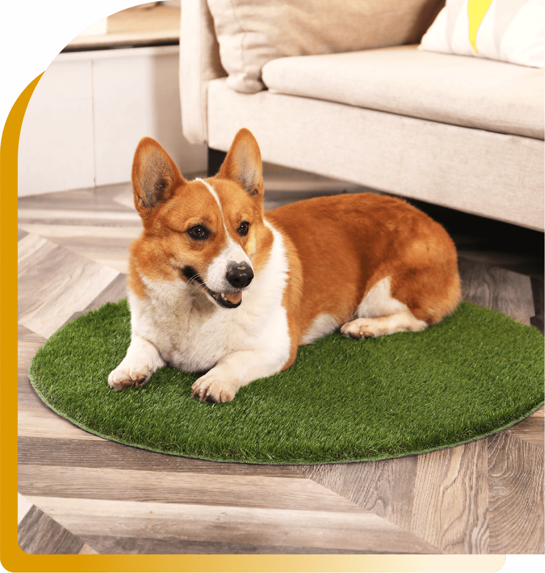 The Ultimate Guide to Artificial Turf Mats