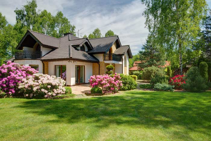 The Top Reasons to Invest in a Landscaping Constructor for Your Home