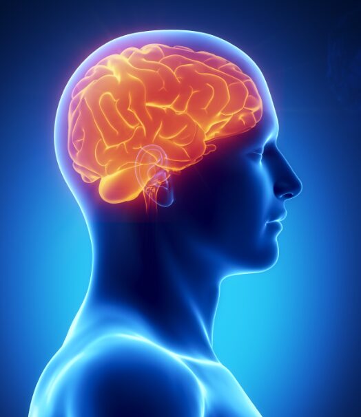 Neuropsychological
