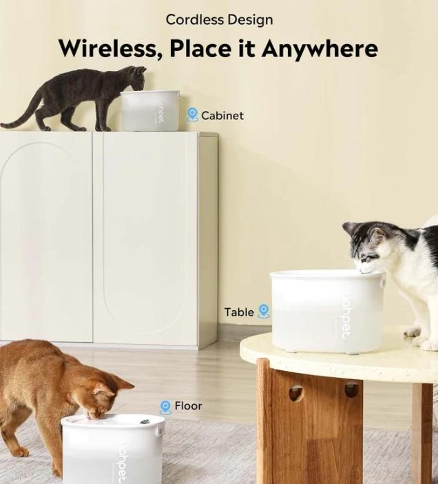 How Battery-Powered Cat Fountains Have Changed the World?