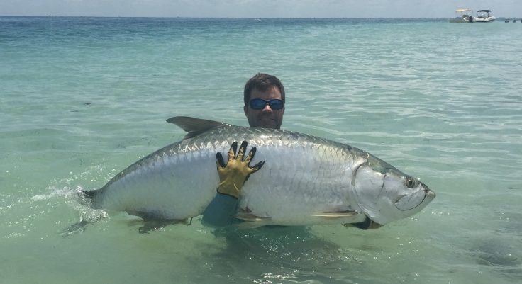 What Are The Best Times Of Year For Fishing Charters In Tampa Bay