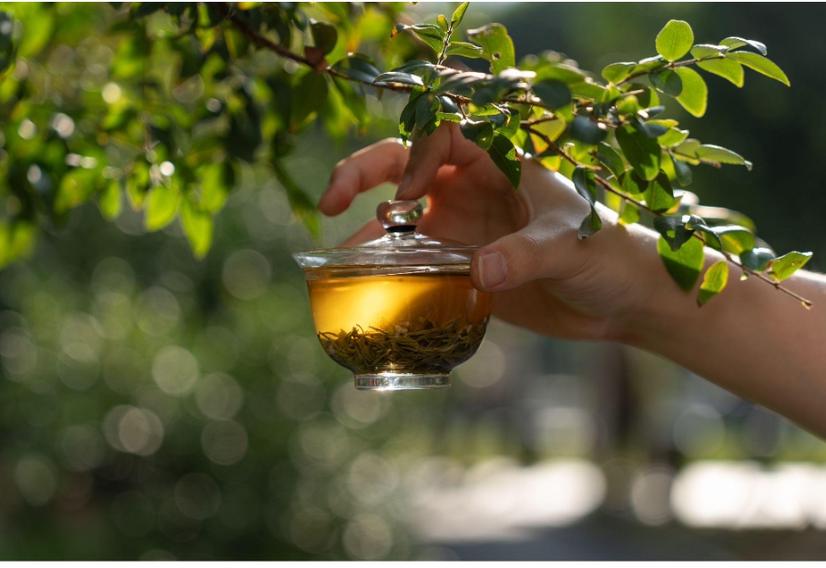 The Art of Chinese Tea: From Leaves to Legacy